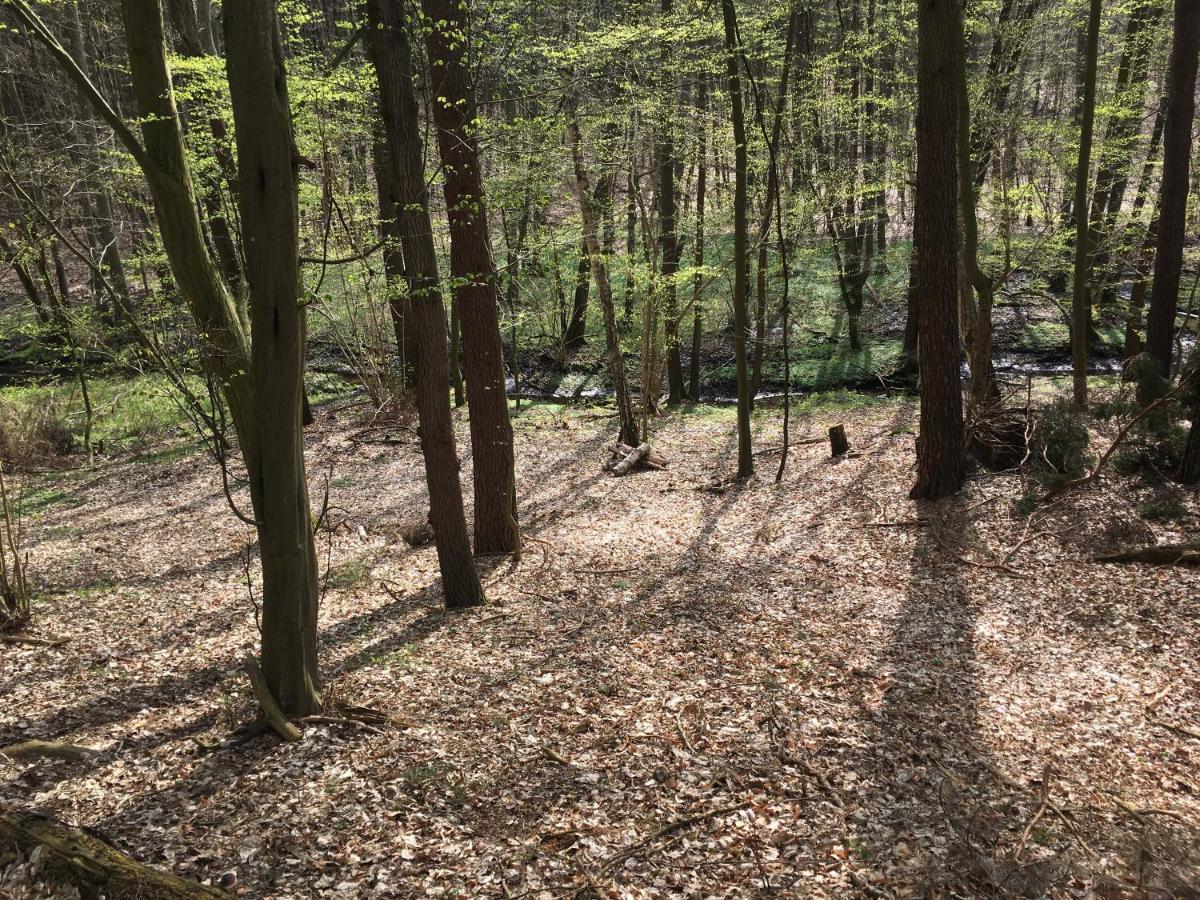 Bungalows Am Waldessaum Bei Hohenzieritz Esterno foto