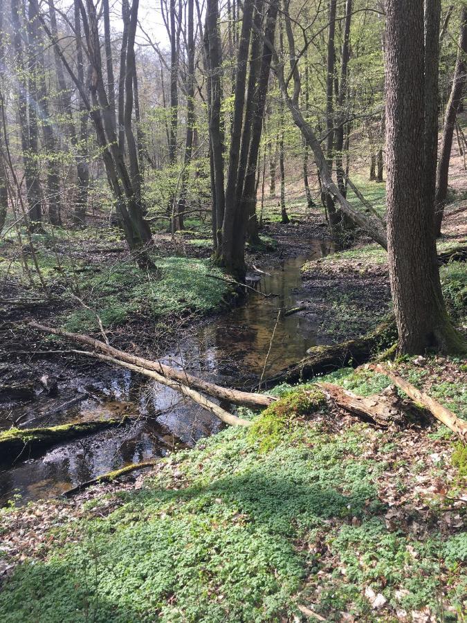 Bungalows Am Waldessaum Bei Hohenzieritz Esterno foto